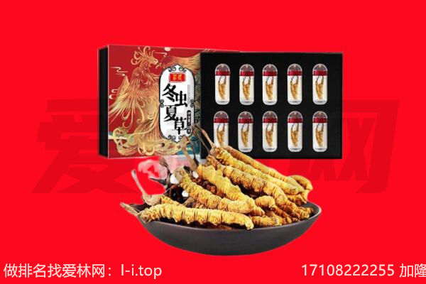 双滦区回收虫草.jpg